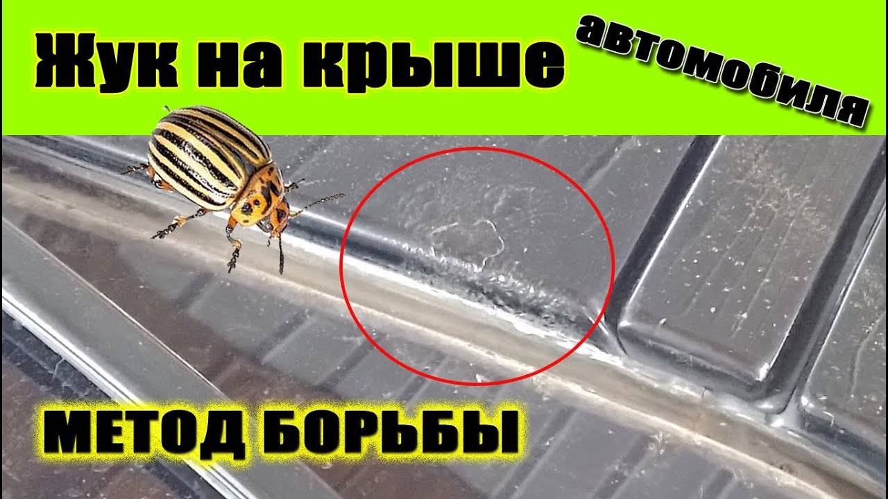 Как заделывают трещины на лобовом стекле видео - все о лада гранта