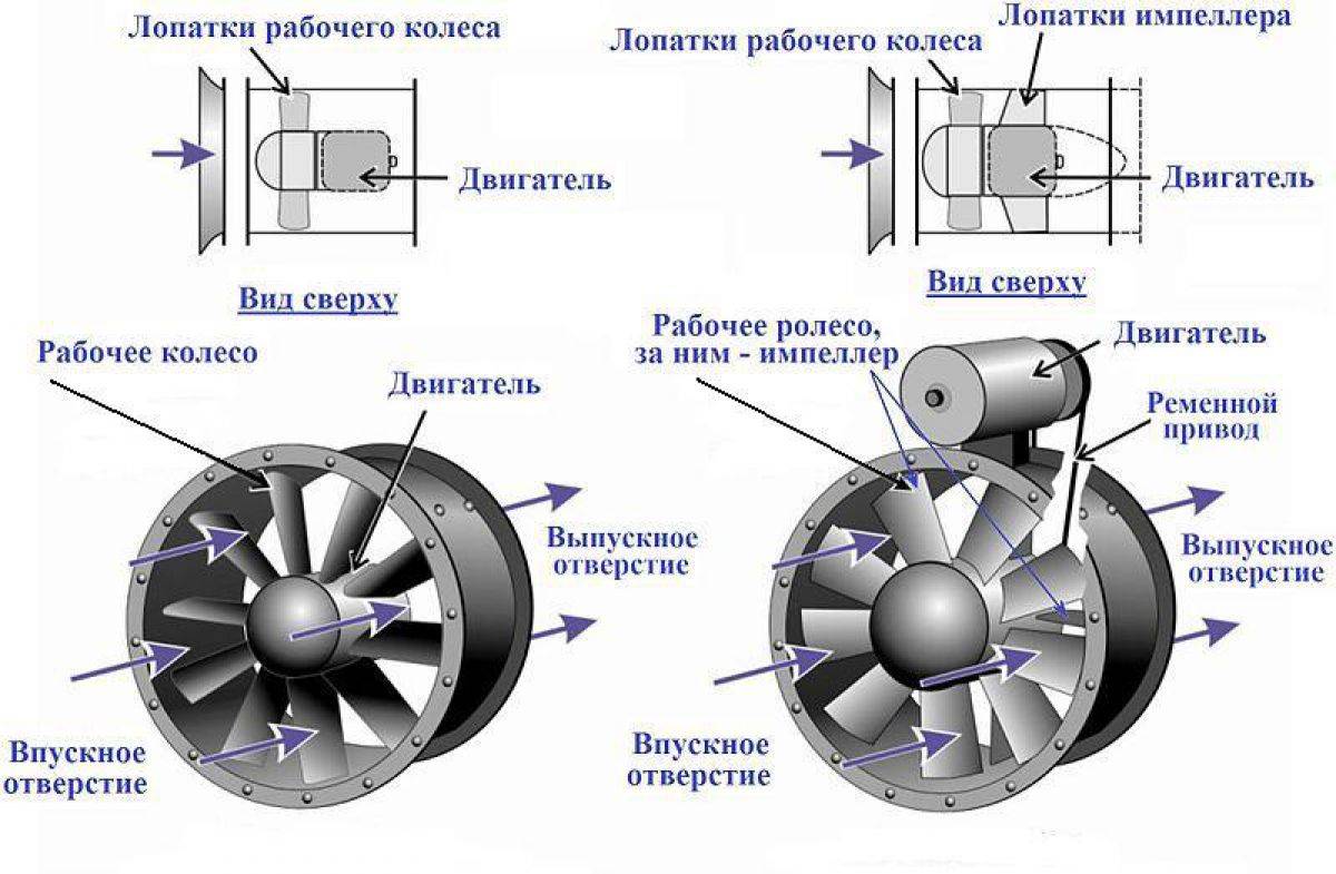 Привод вентилятора: надежная работа вентилятора системы охлаждения :: www.autoars.ru