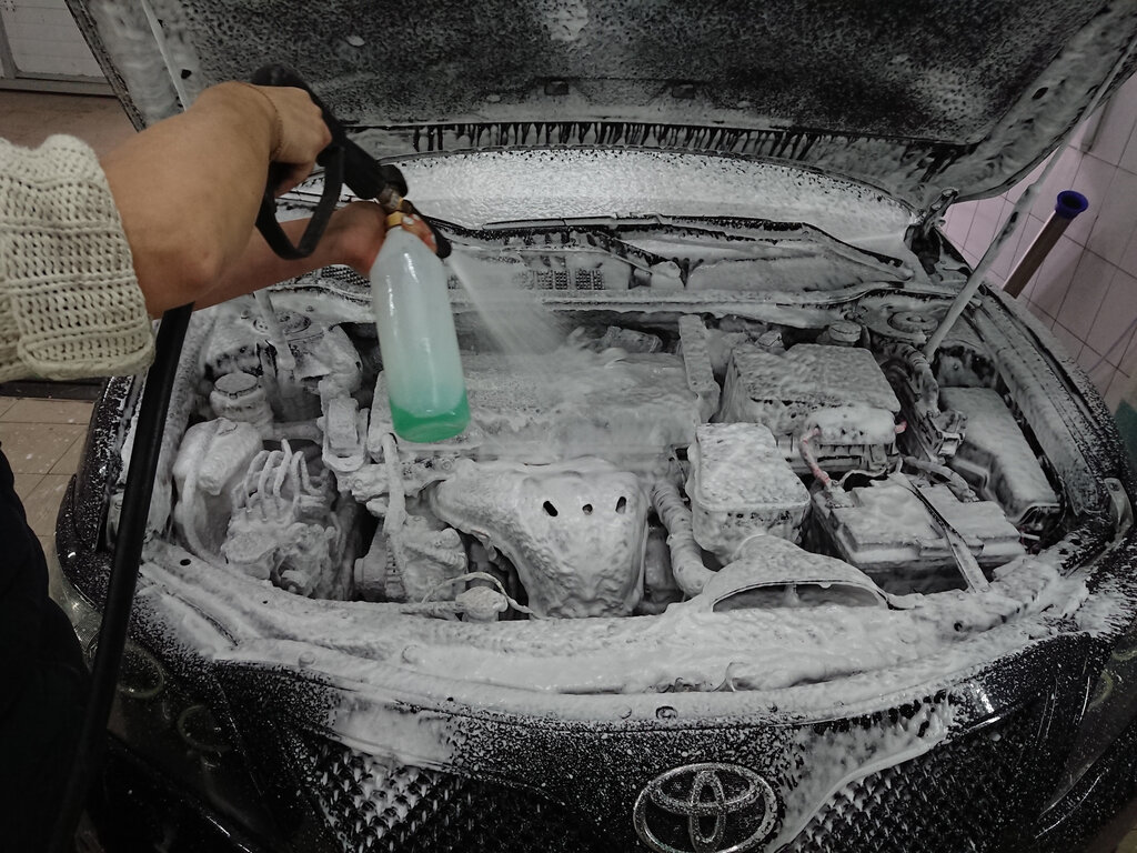 Чем и как помыть двигатель автомобиля самостоятельно в домашних условиях (видео)