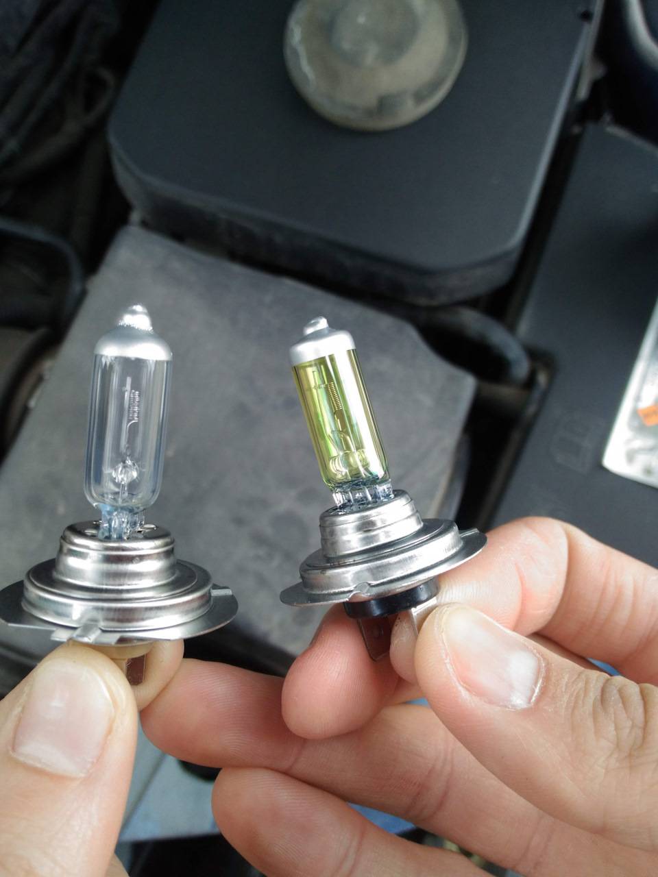 Лампа ближнего света форд фокус 2: лампочки каких видов и с каким цоколем подходит в фары дорестайлингового и рестайлингового фф