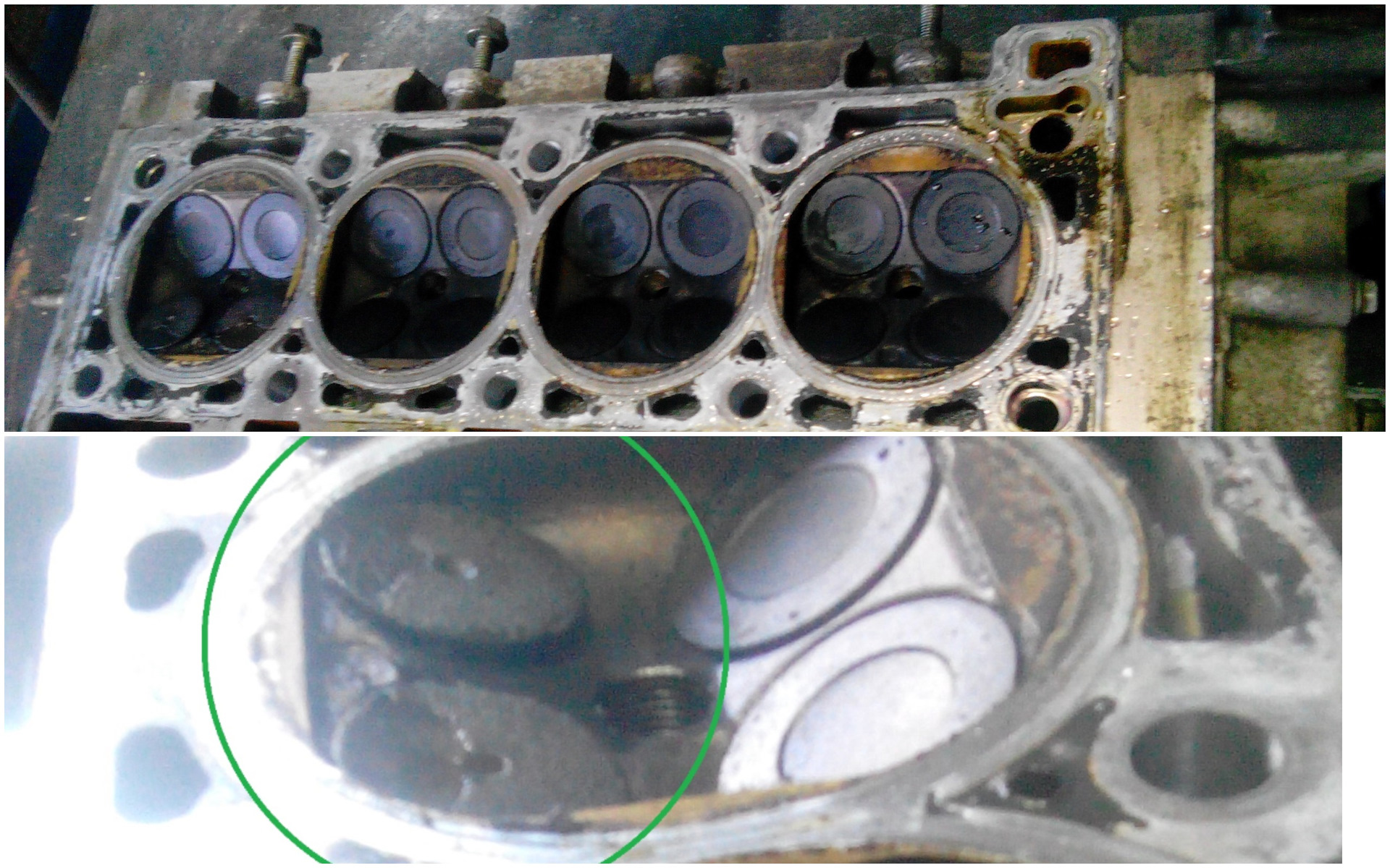 Гнет ли клапана? оборвался ремень грм на автомобиле renault logan, приехал рено сандеро двигатель 1.4 загибает клапана.