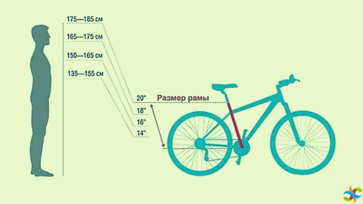 Как выбрать горный велосипед правильно: рейтинг лучших марок