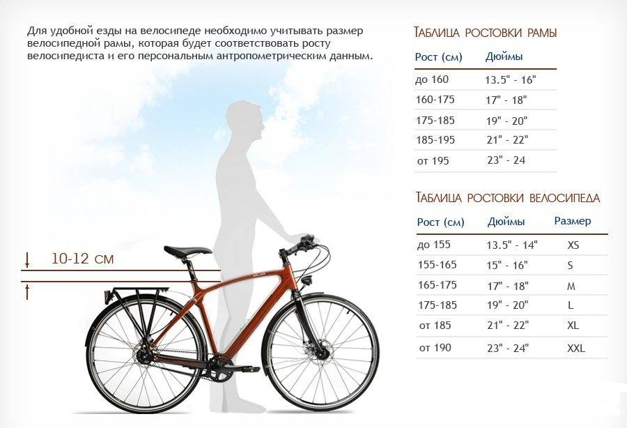 Самые надёжные горные велосипеды в 2023 году