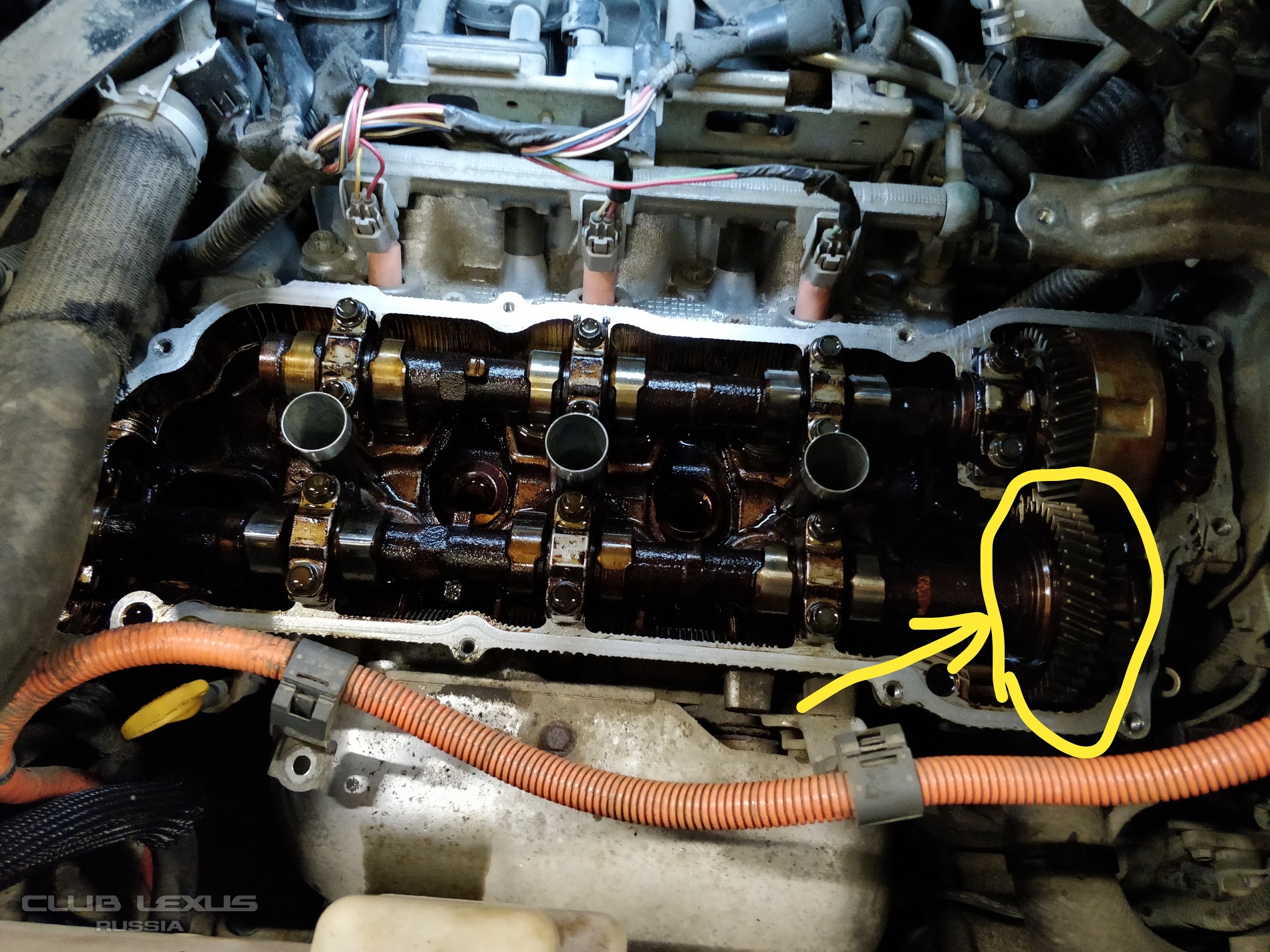 Почему на холодном двигателе стучат гидрокомпенсаторы - автомобильный портал automotogid