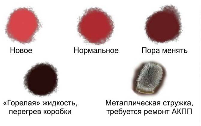 Как поменять масло в акпп: этапы работ