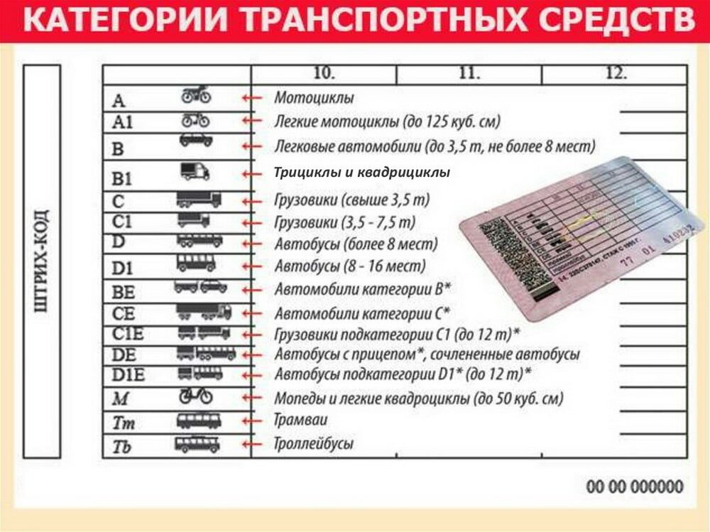 Категория М в правах: как получить и сколько стоит сдача